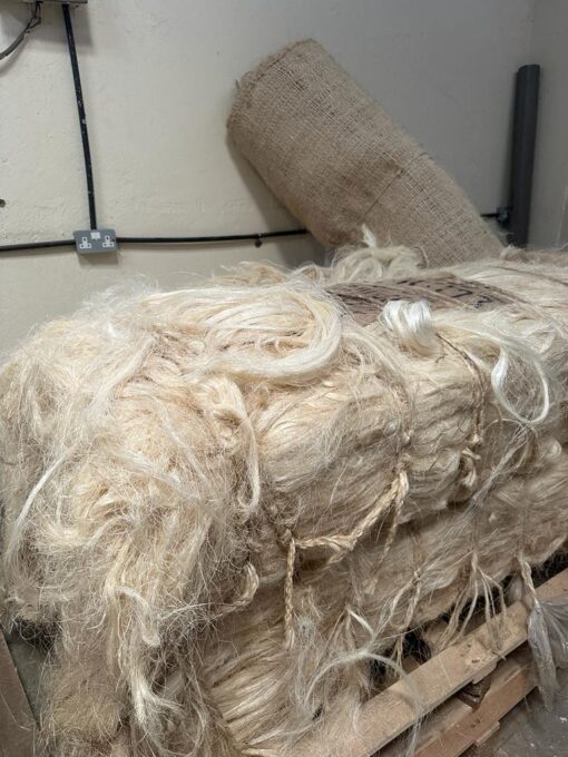 Sisal Fiber