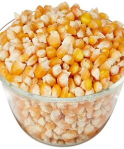 Yellow Corn