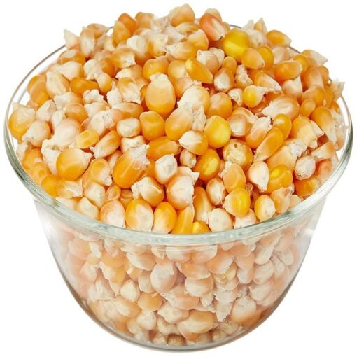 Yellow Corn