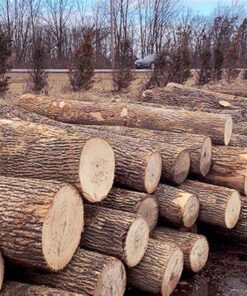 Pine Lumber