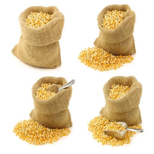 Yellow Corn