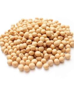 Soyabean